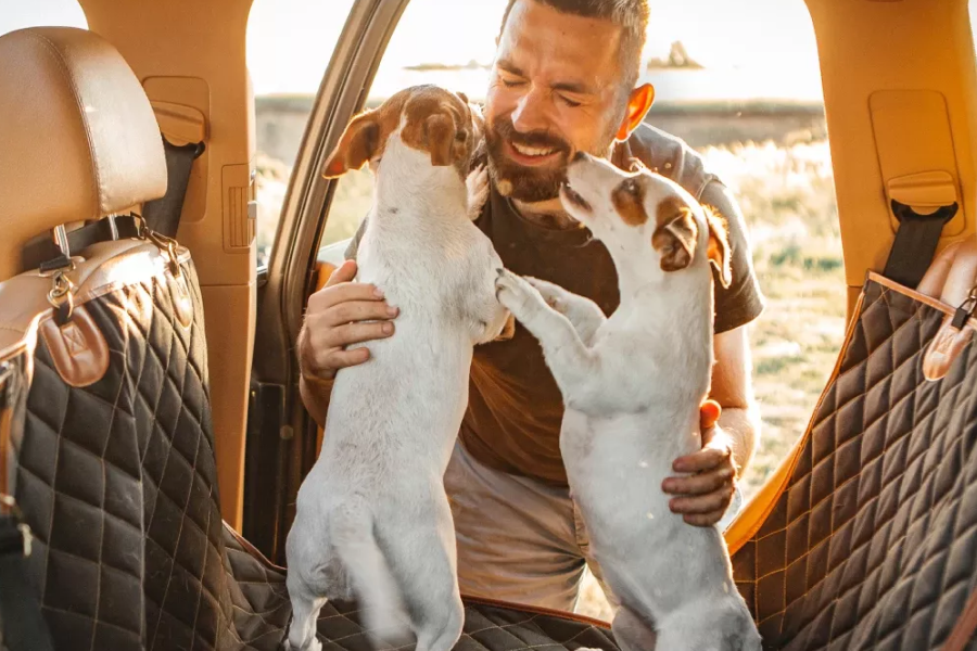 Pet Hammock for Car Travel