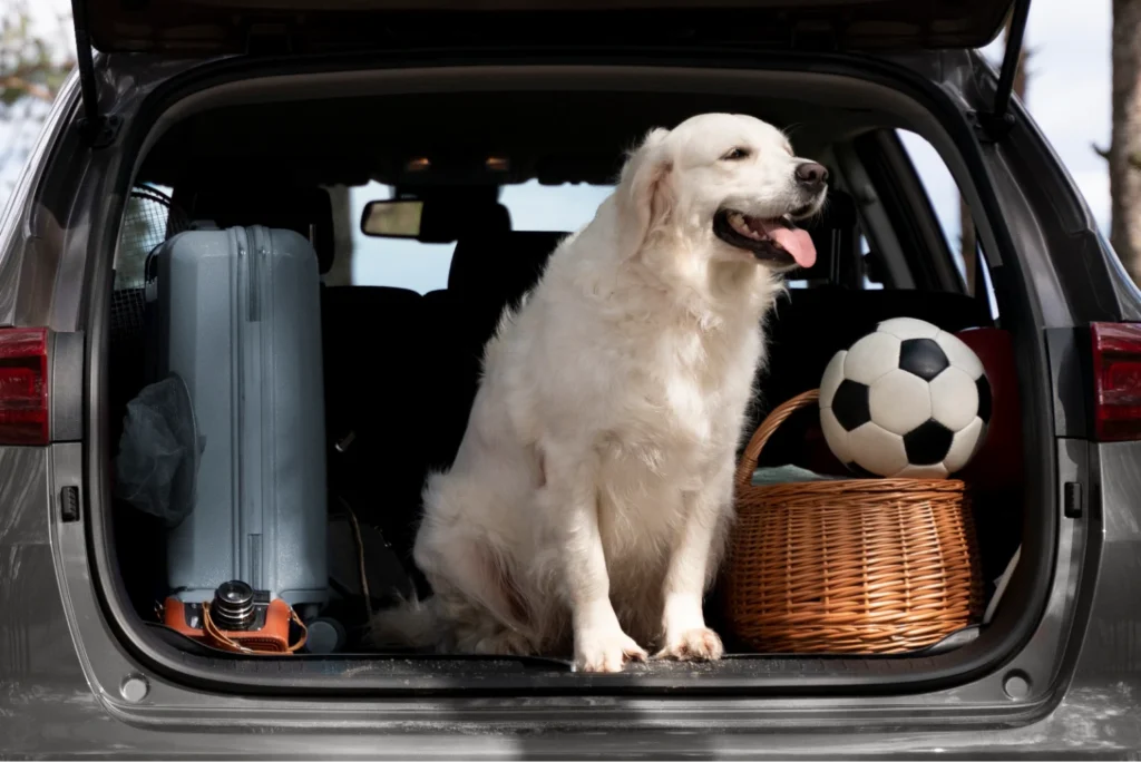 Durable Travel Bed for Dogs in Cars