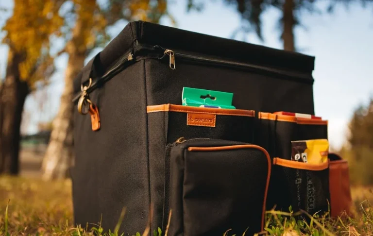 Portable Car Organizer