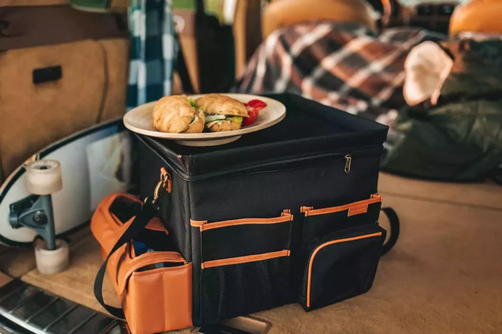 Foldable Car Organizer